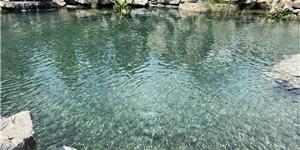 福州涵江大型别墅鱼池